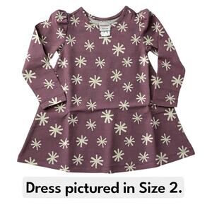 Holiday Long Sleeve Swing Dress. “Snowflakes on Orchid Haze.” Size 4.